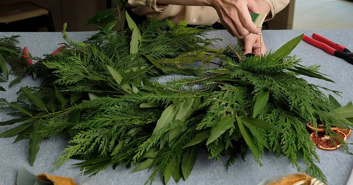 Adding bundles of greens to a Christmas wreath.