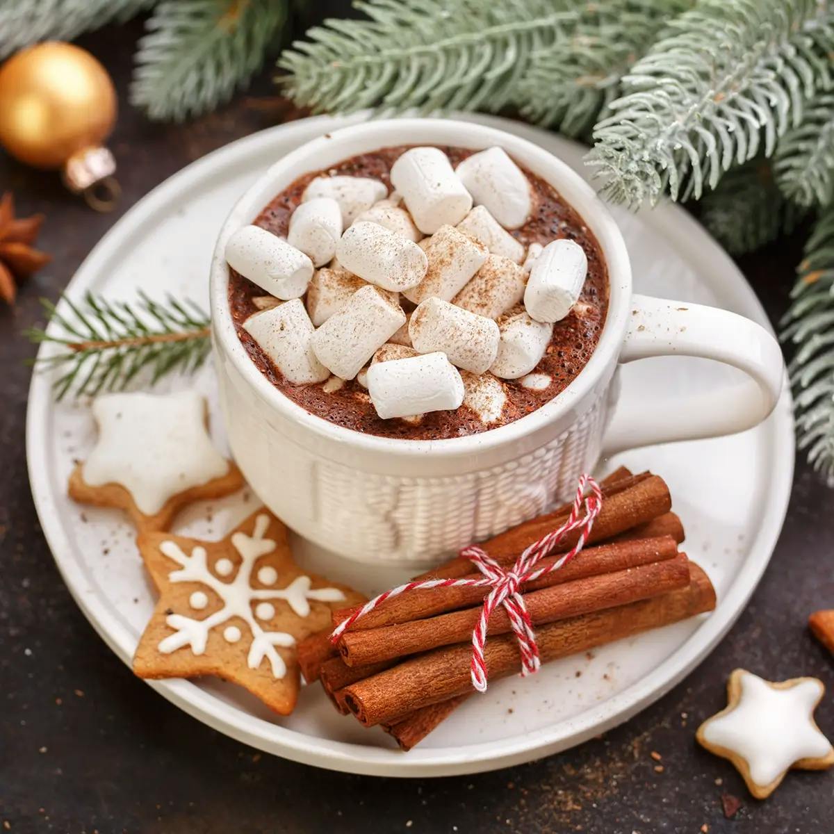 Cup of crockpot hot chocolate topped with marshmallows and cinnamon, with a bundle of cinnamon sticks and star cookies on the saucer. Pine branches, Christmas ornaments and star anise in the background.