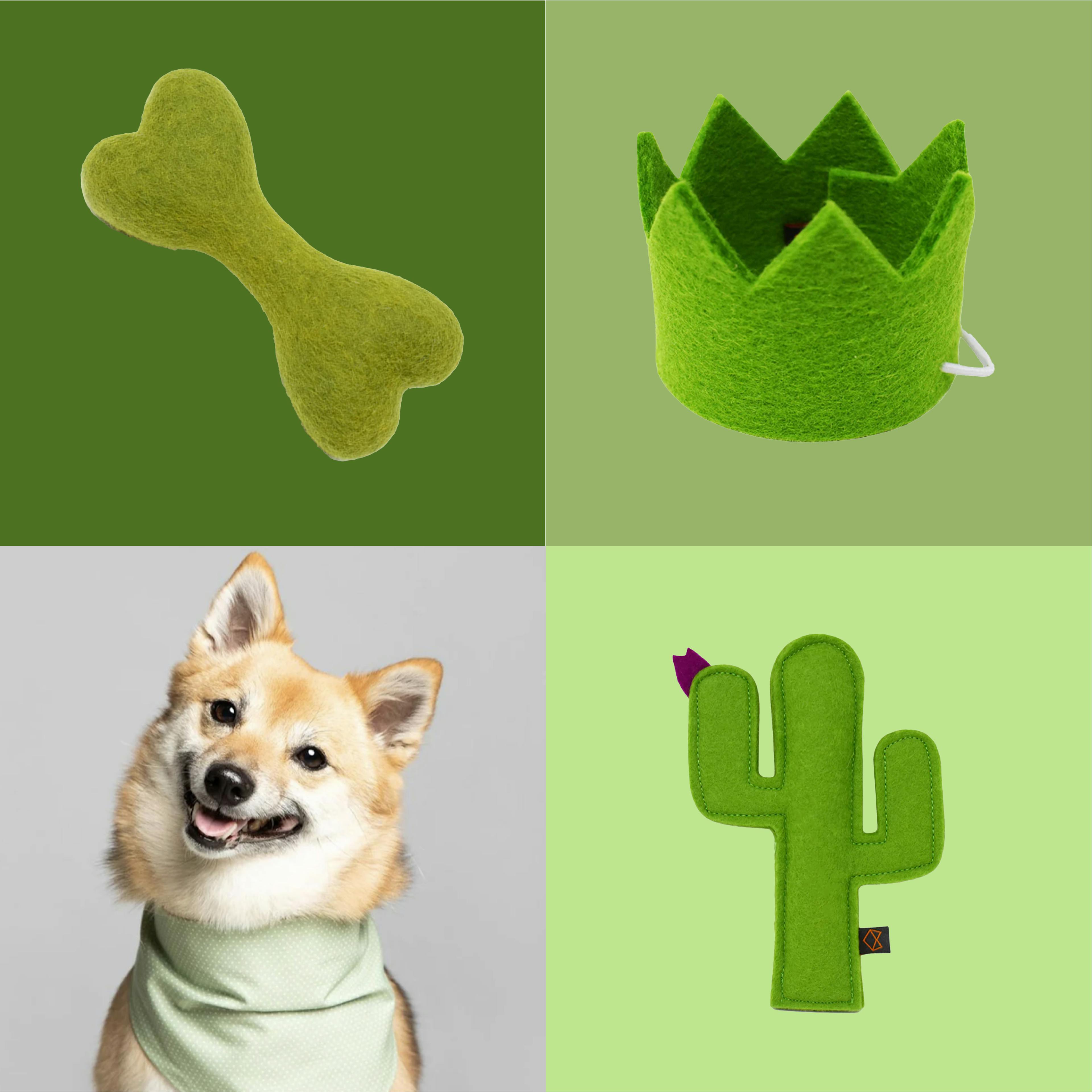 St. Patrick's Day Pet Gift Guide