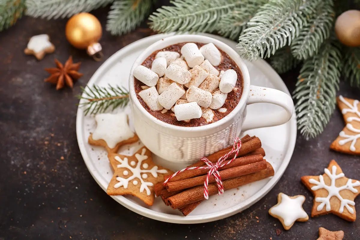 Cup of crockpot hot chocolate topped with marshmallows and cinnamon, with a bundle of cinnamon sticks and star cookies on the saucer. Pine branches, Christmas ornaments and star anise in the background.