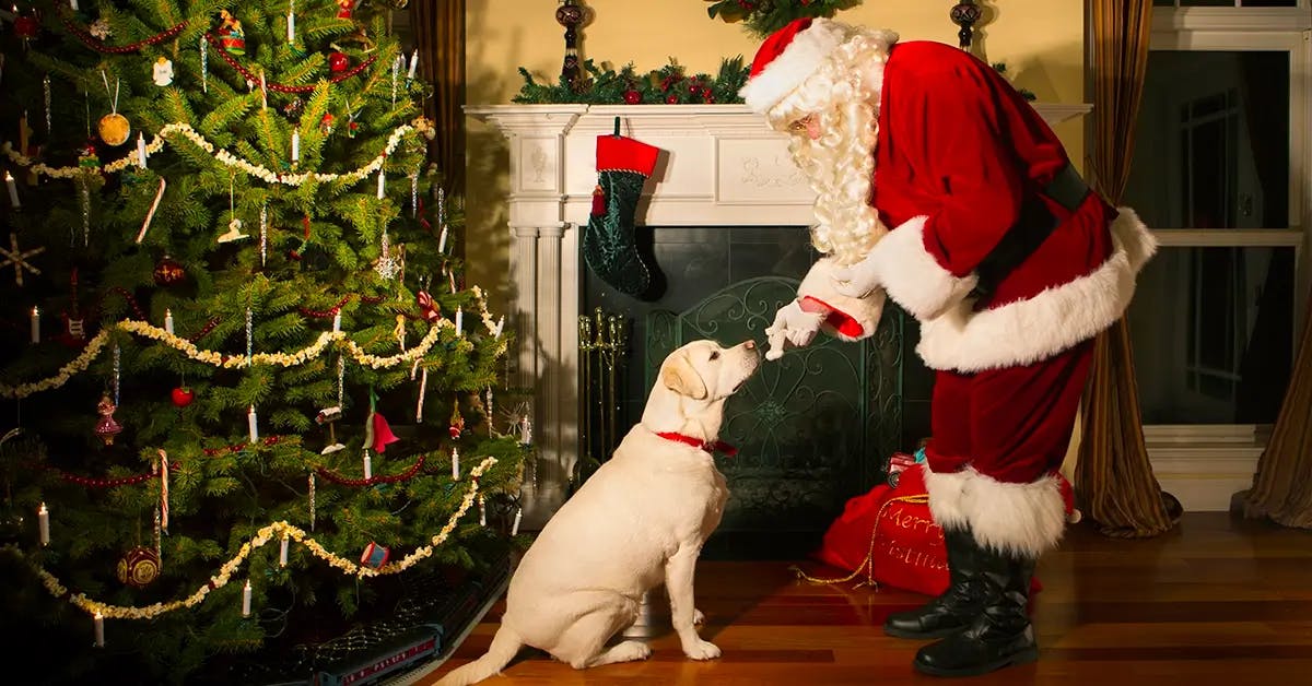 Santa giving a treat to a dog in front of a fireplace hung with stockings.