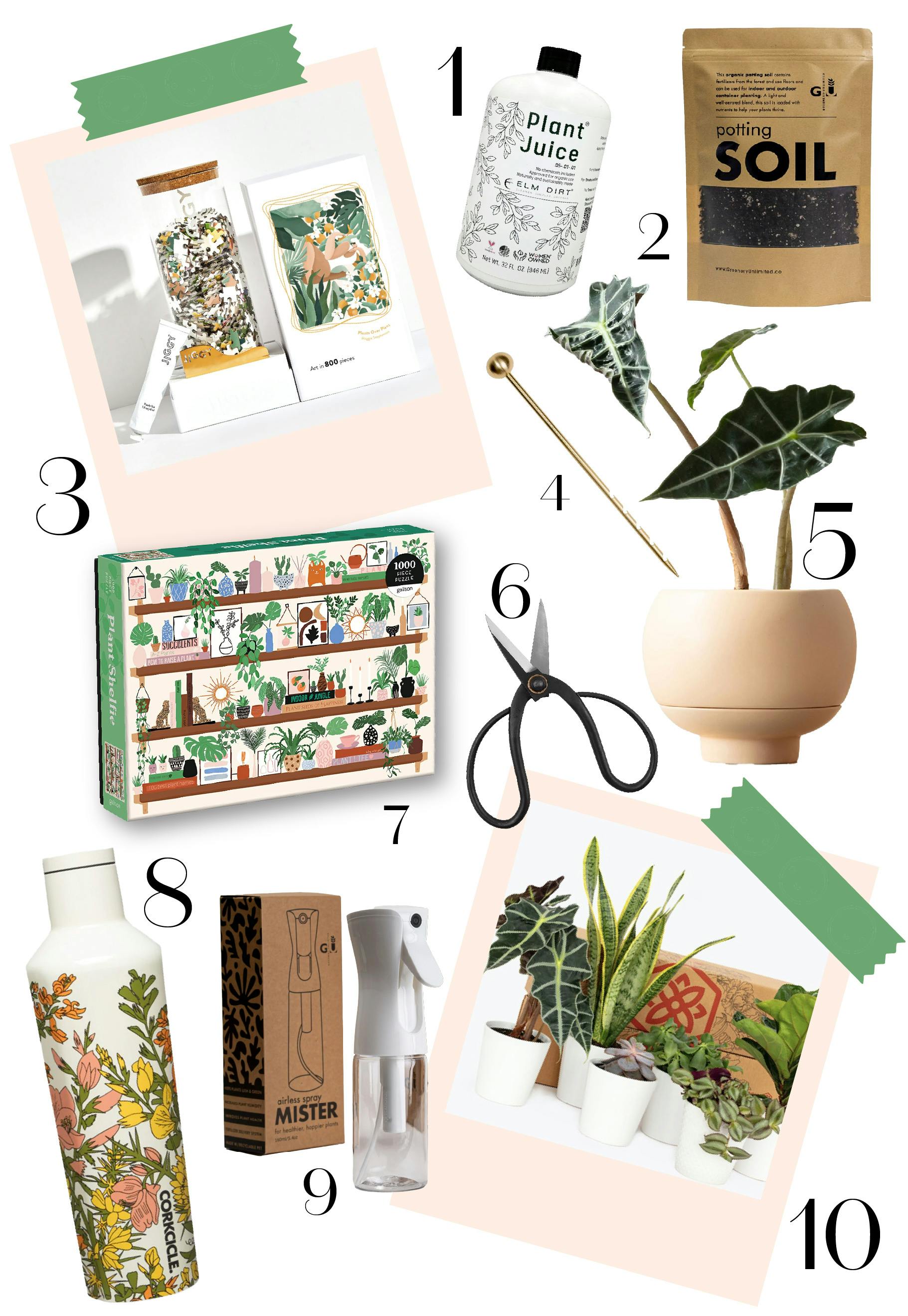Great Gifts for Plant Lovers