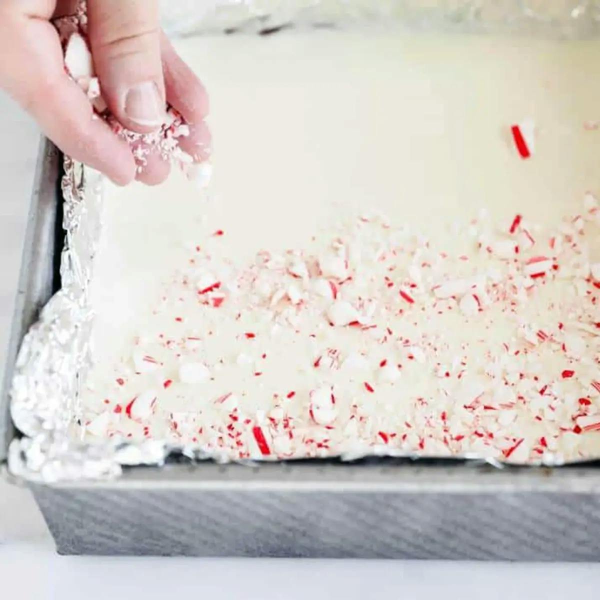 Crushed candy canes being added to the white chocolate layer of Christmas peppermint bark.